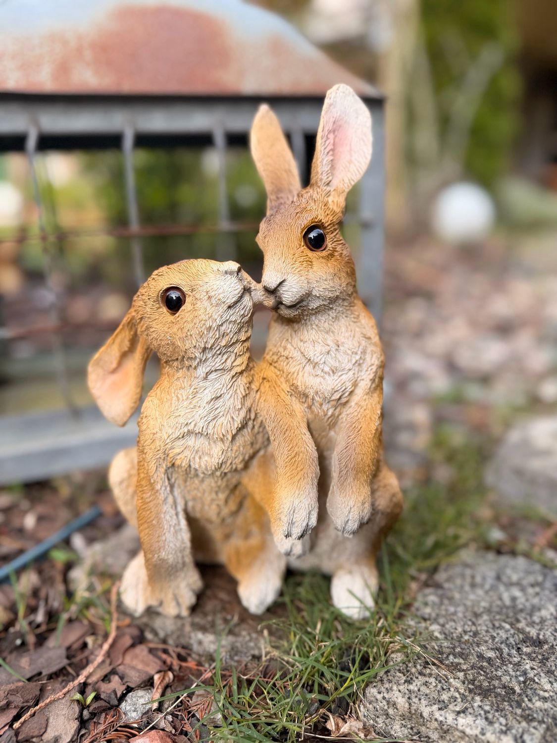Conejitos pareja
