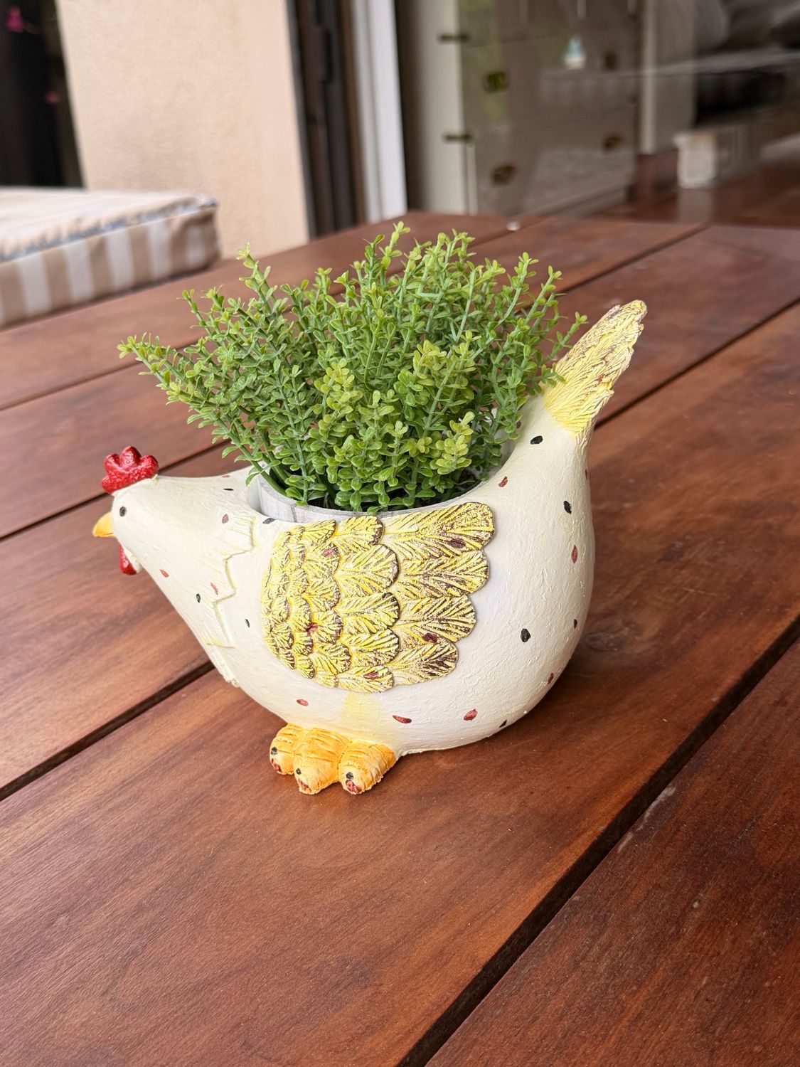 Macetero Gallinita