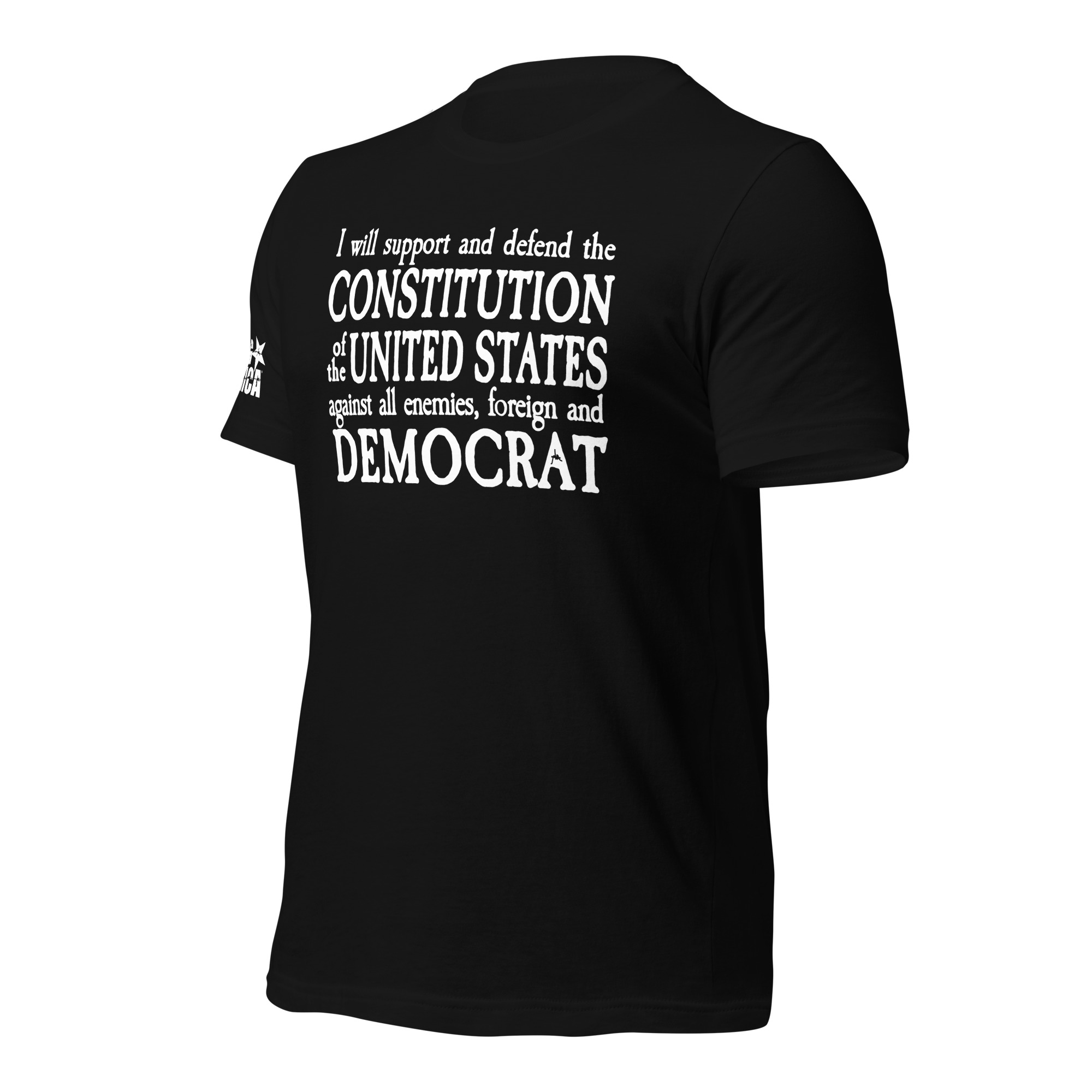 I Will Support the Constitution