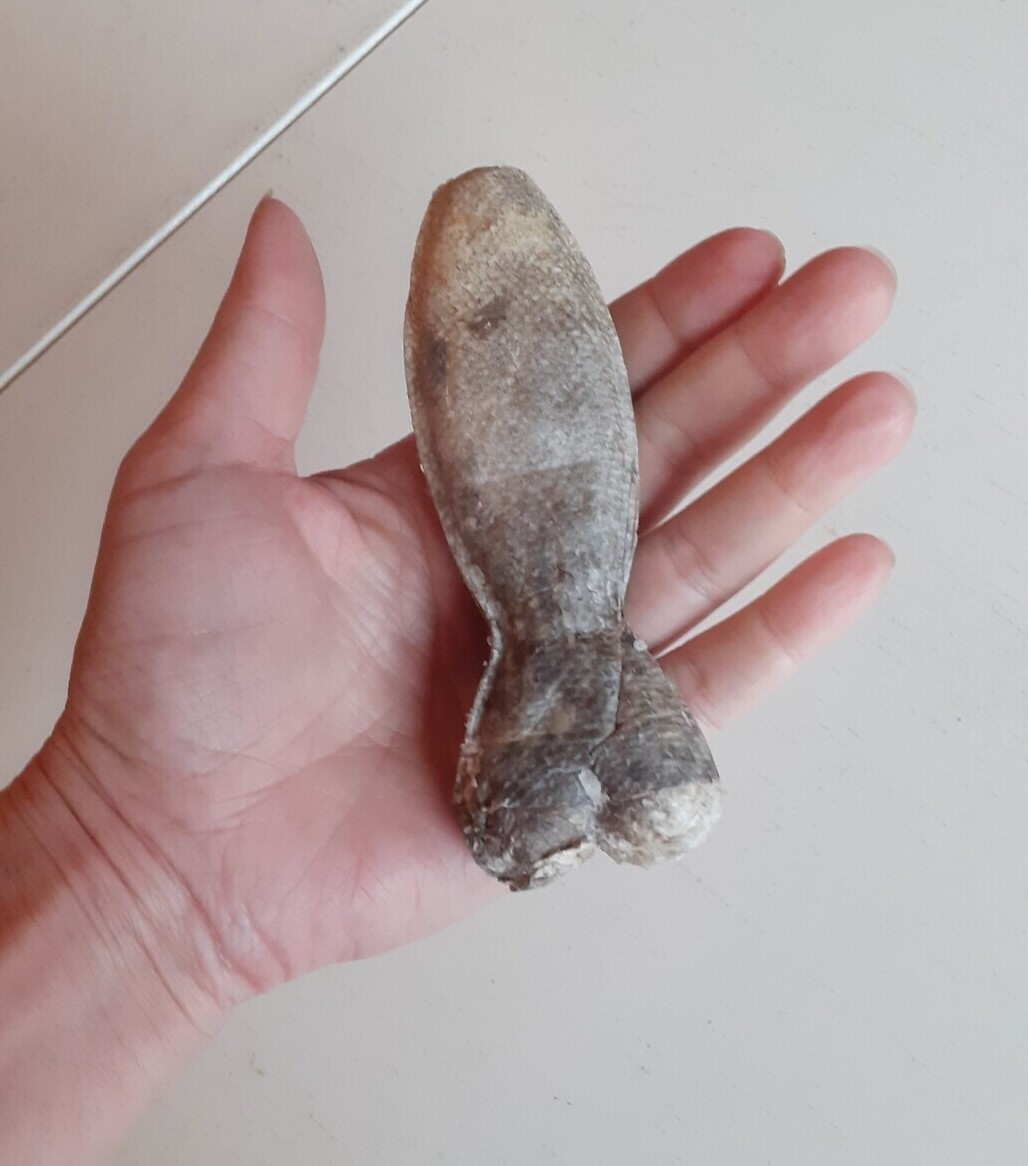 Shaped Fish Skin Chews