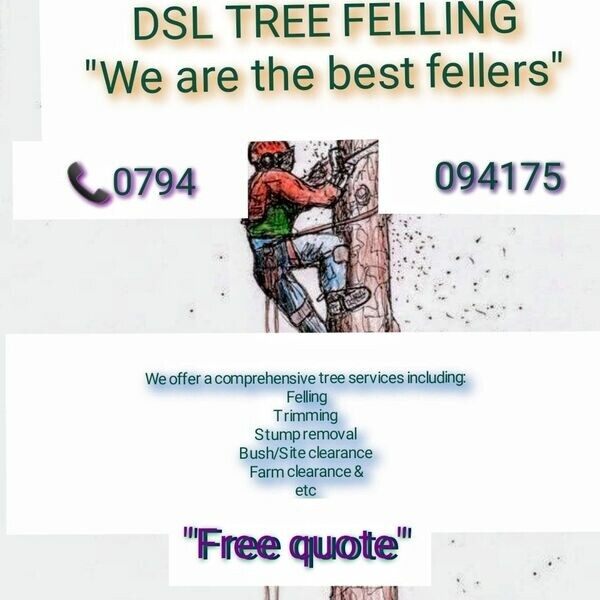 DSL TREE FELLING