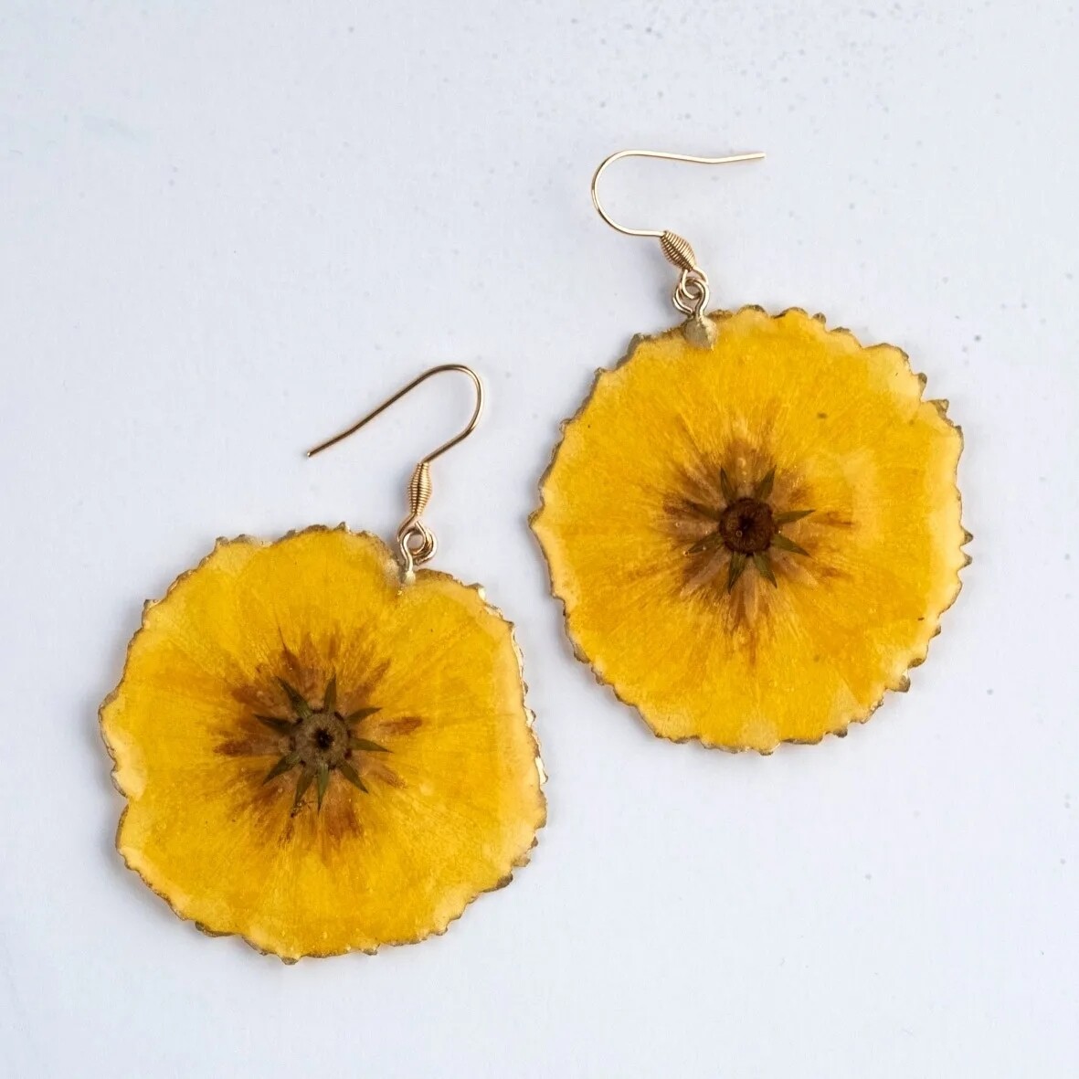 Coreopsis giallo
