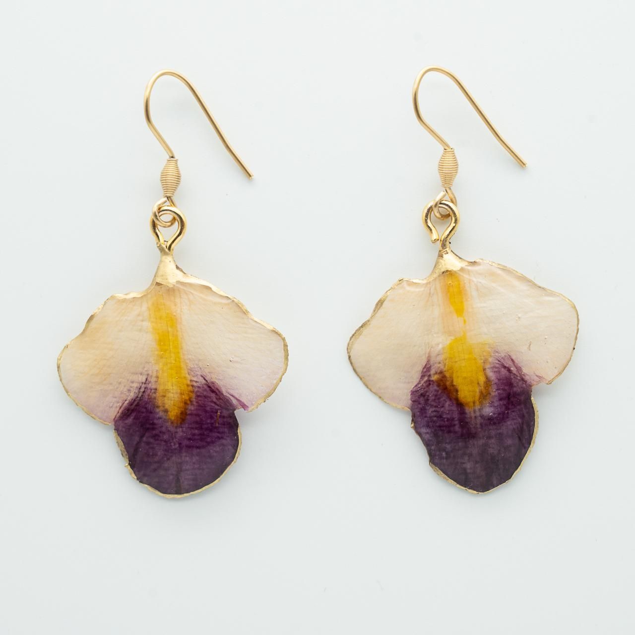Cuori di orchidea