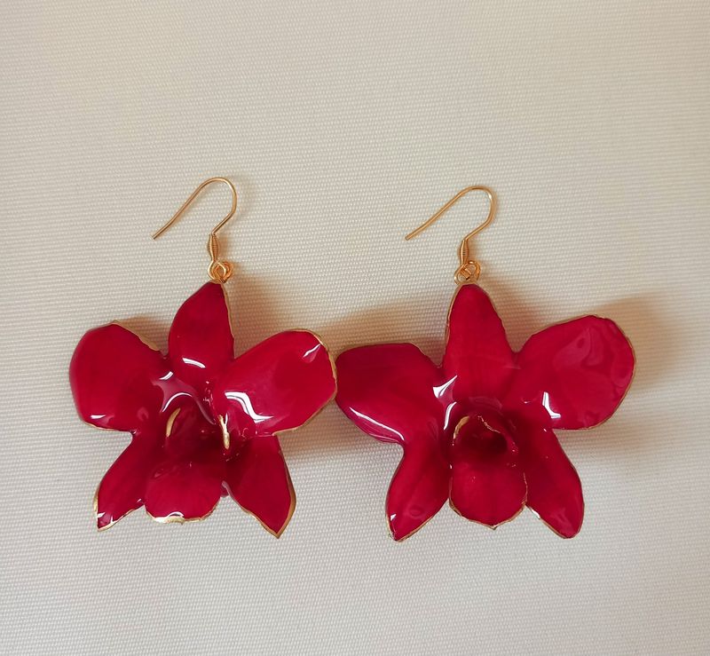 Orchidea amaranto