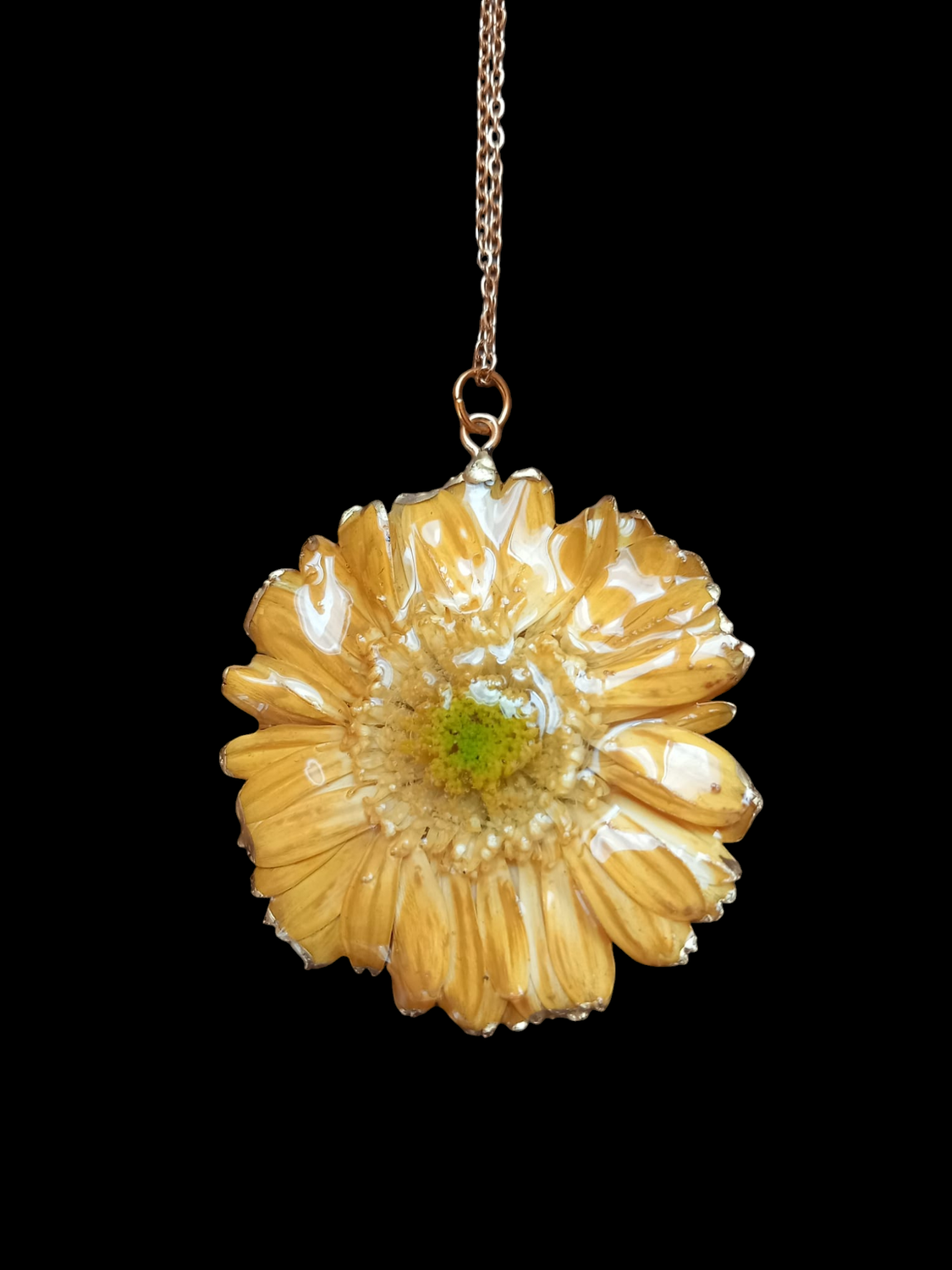 Gerbera gialla