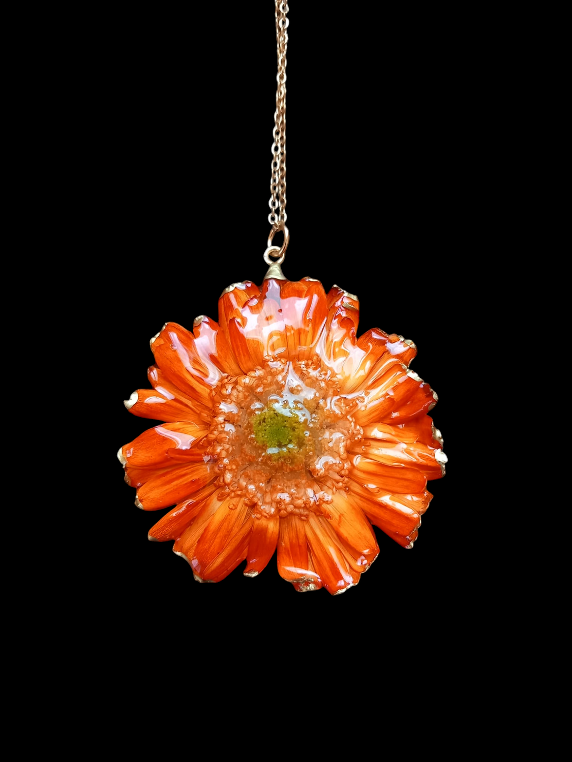Gerbera arancione