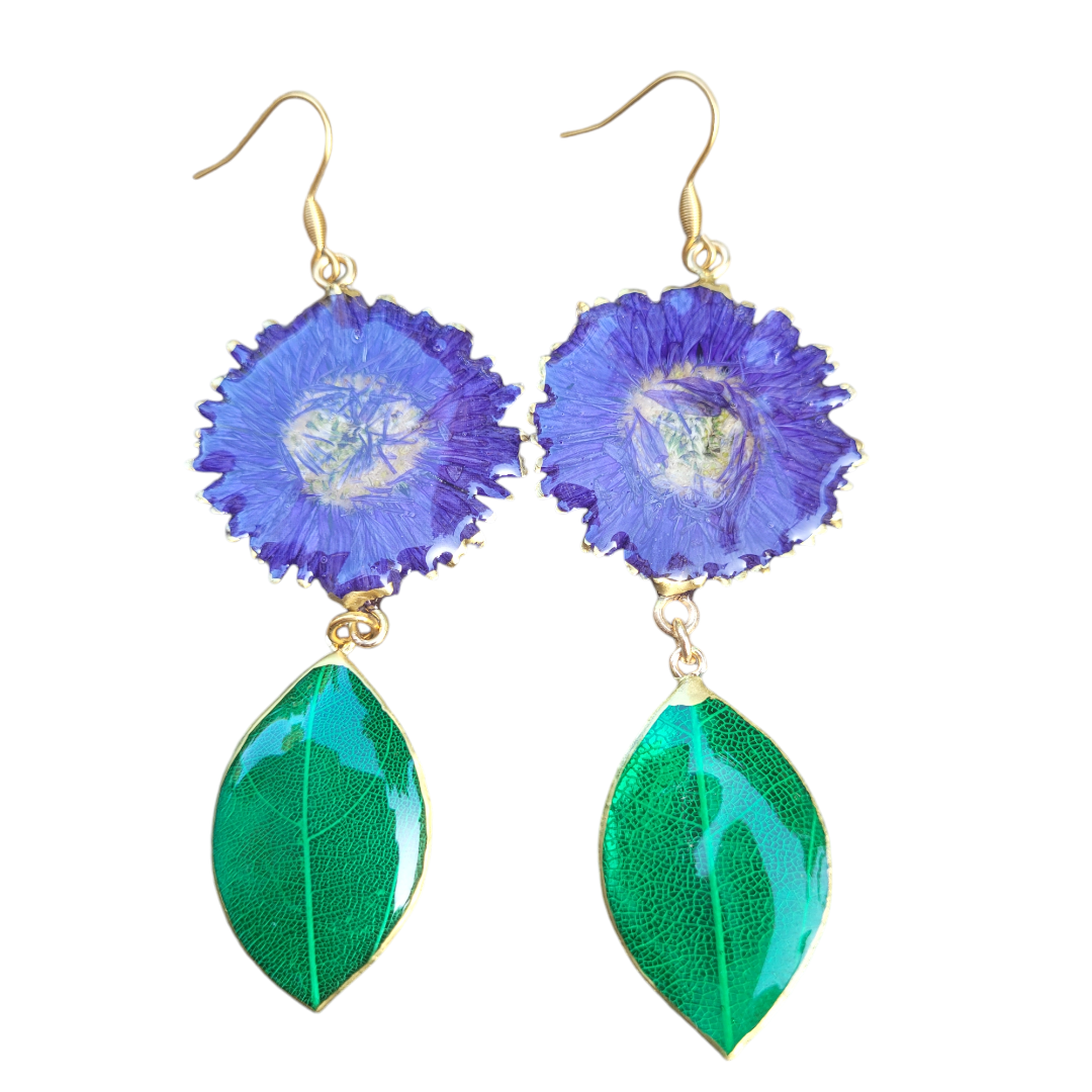 Settembrini e magnolia verde