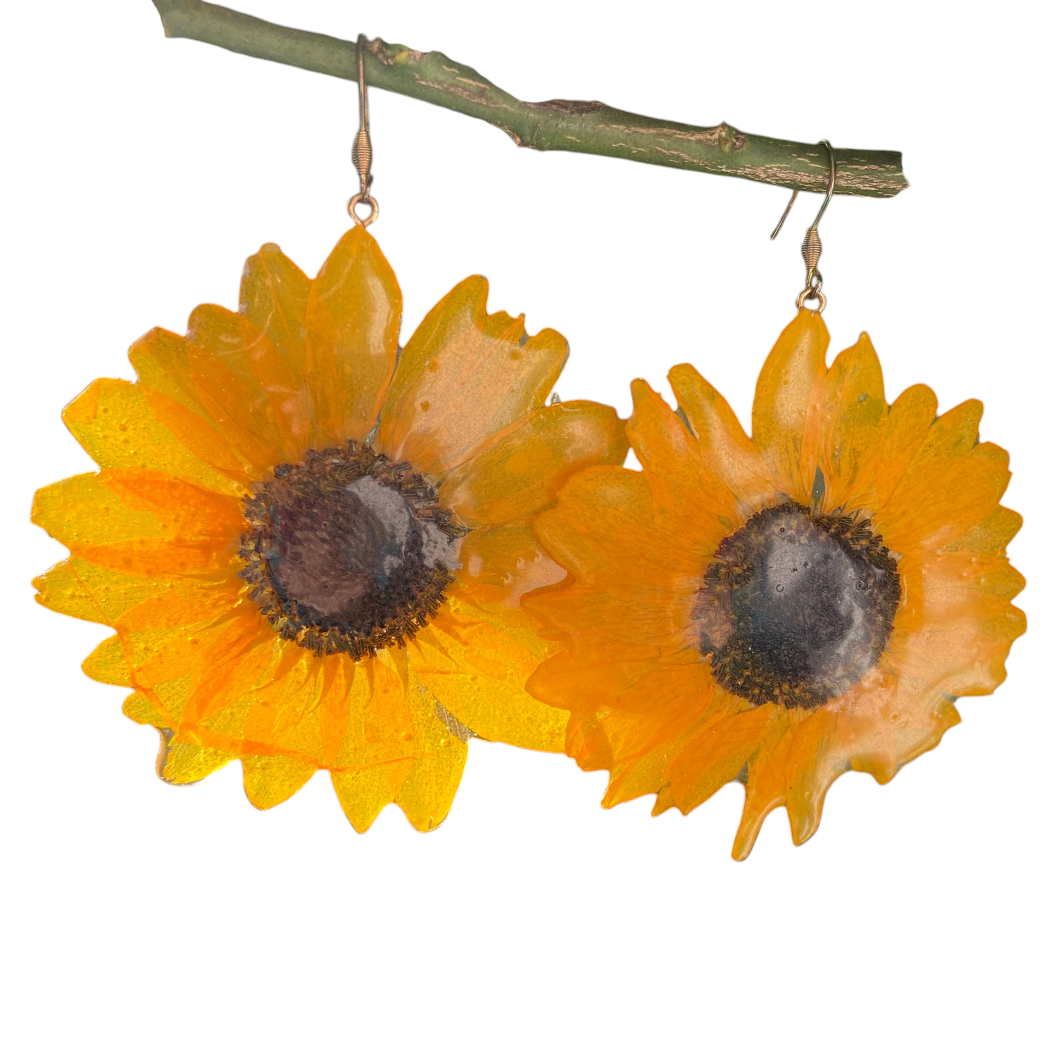 Girasoli