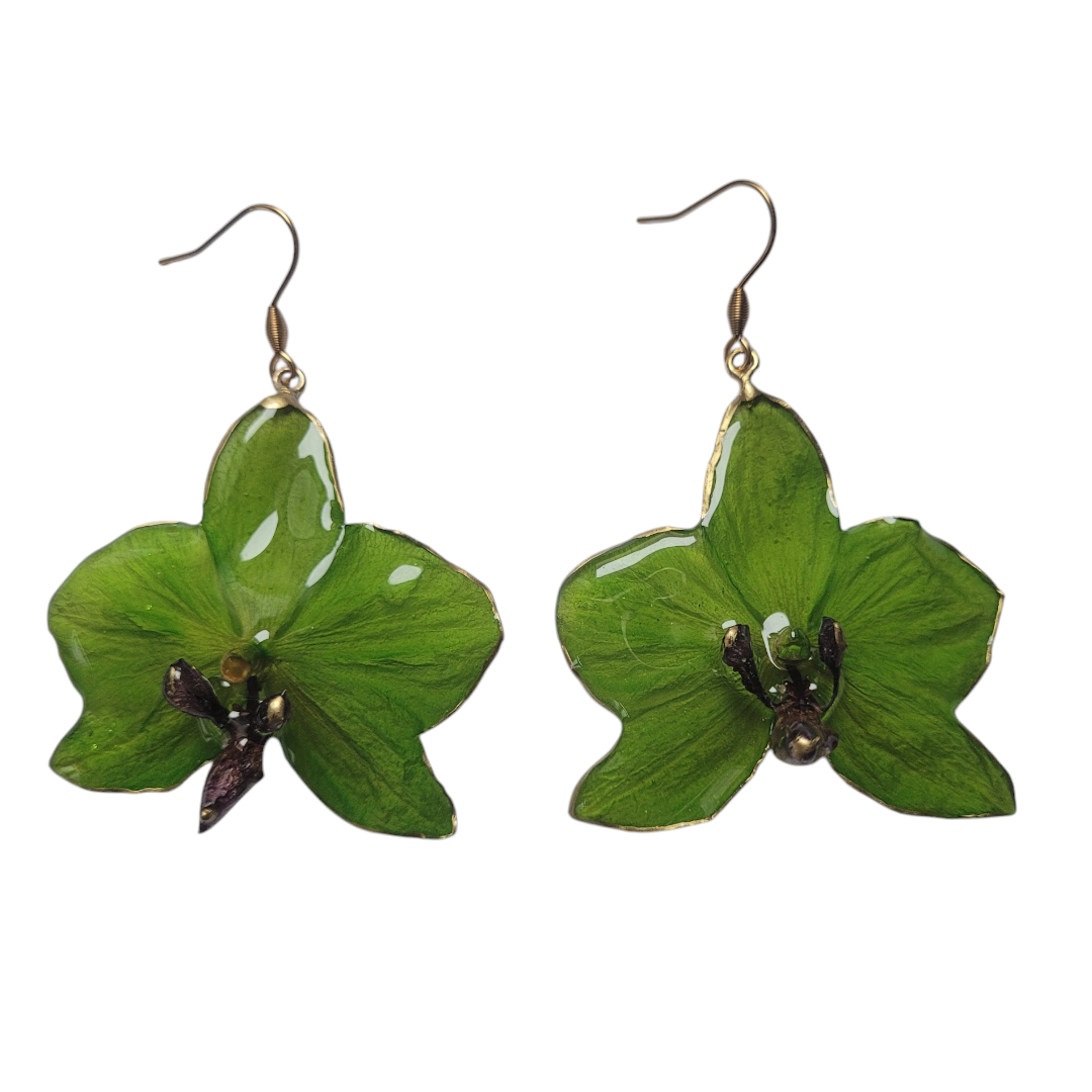 Orchidea verde