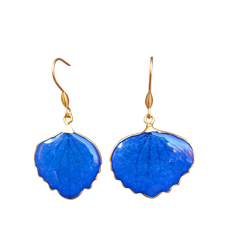 Petalini di ortensia blu