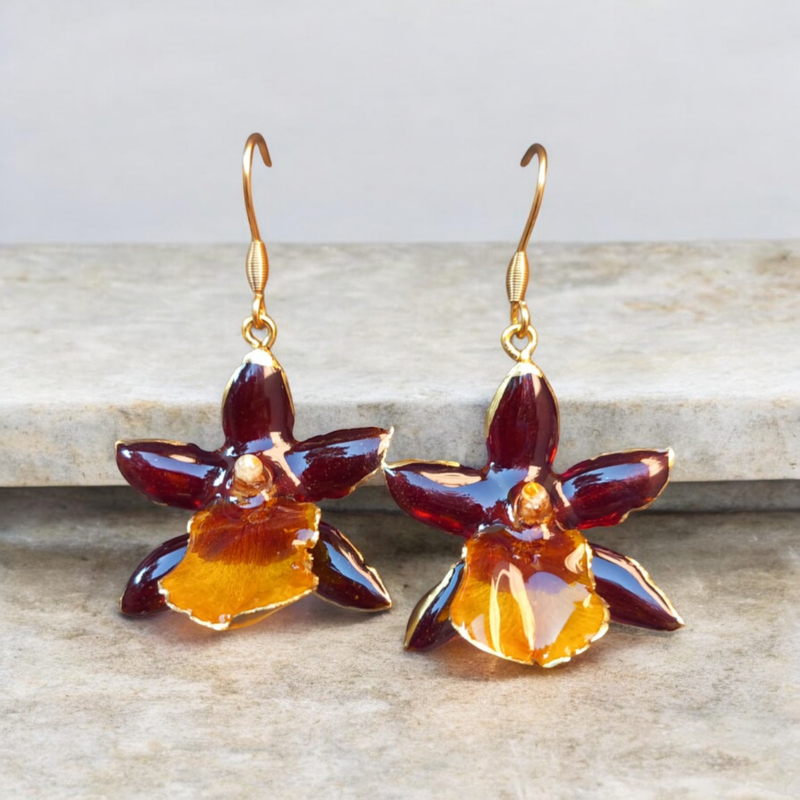 Orchidea mignon