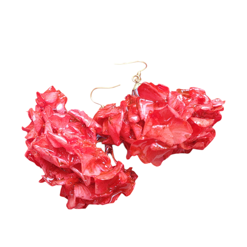 Ortensie rosse a grappolo