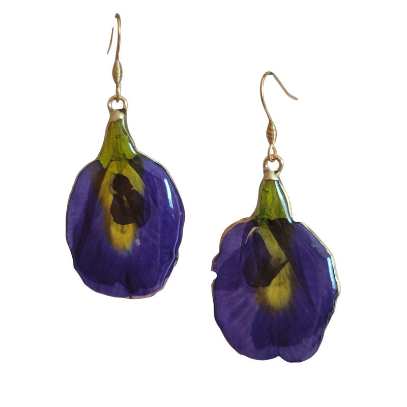 Iris selvatico