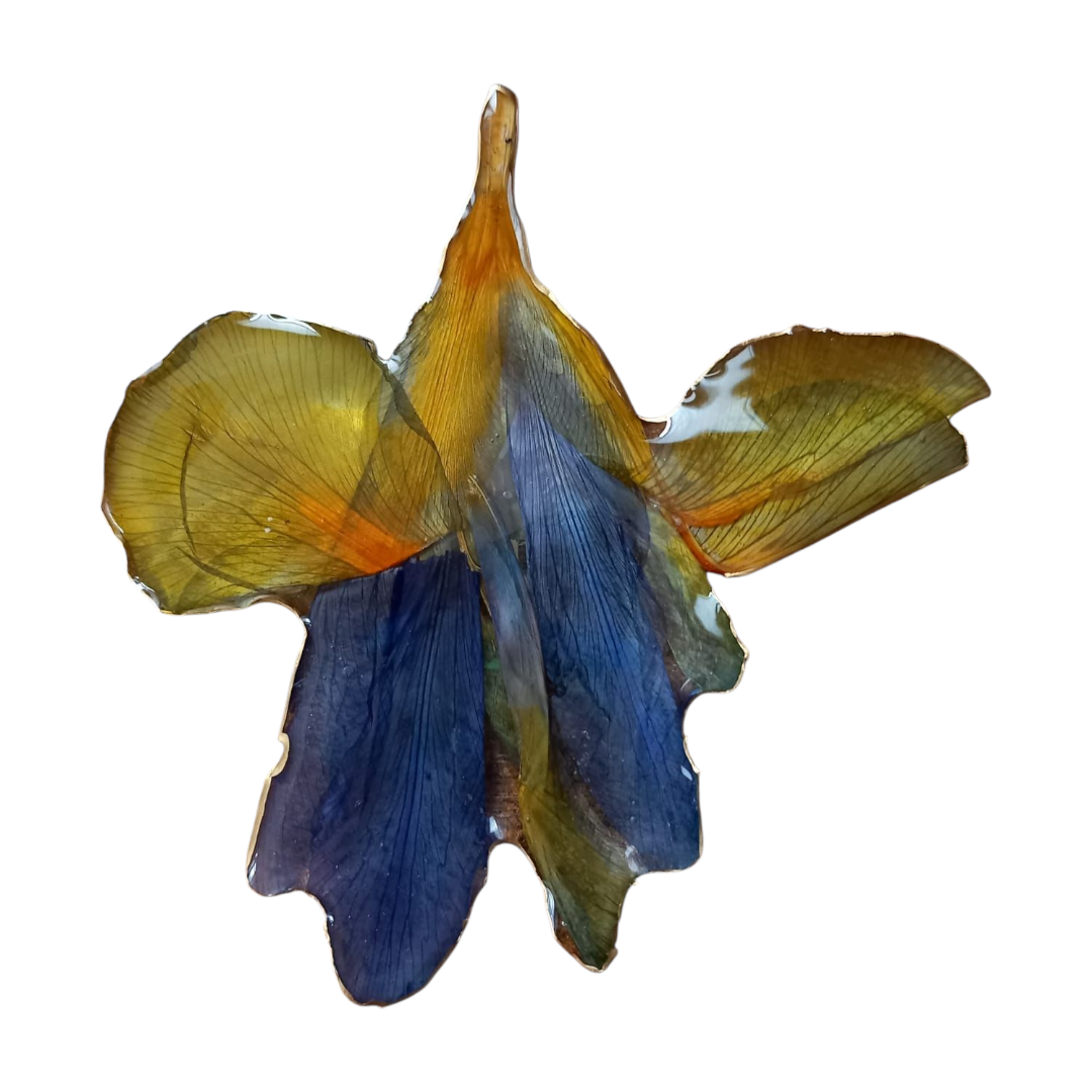 Spilla iris selvatico