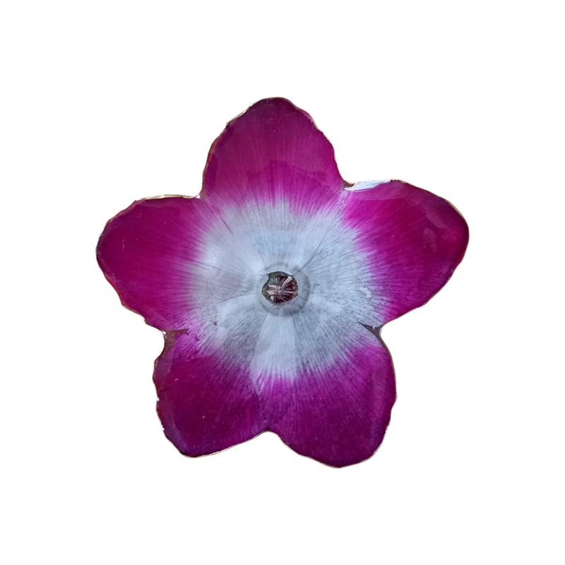 Spilla ciclamino