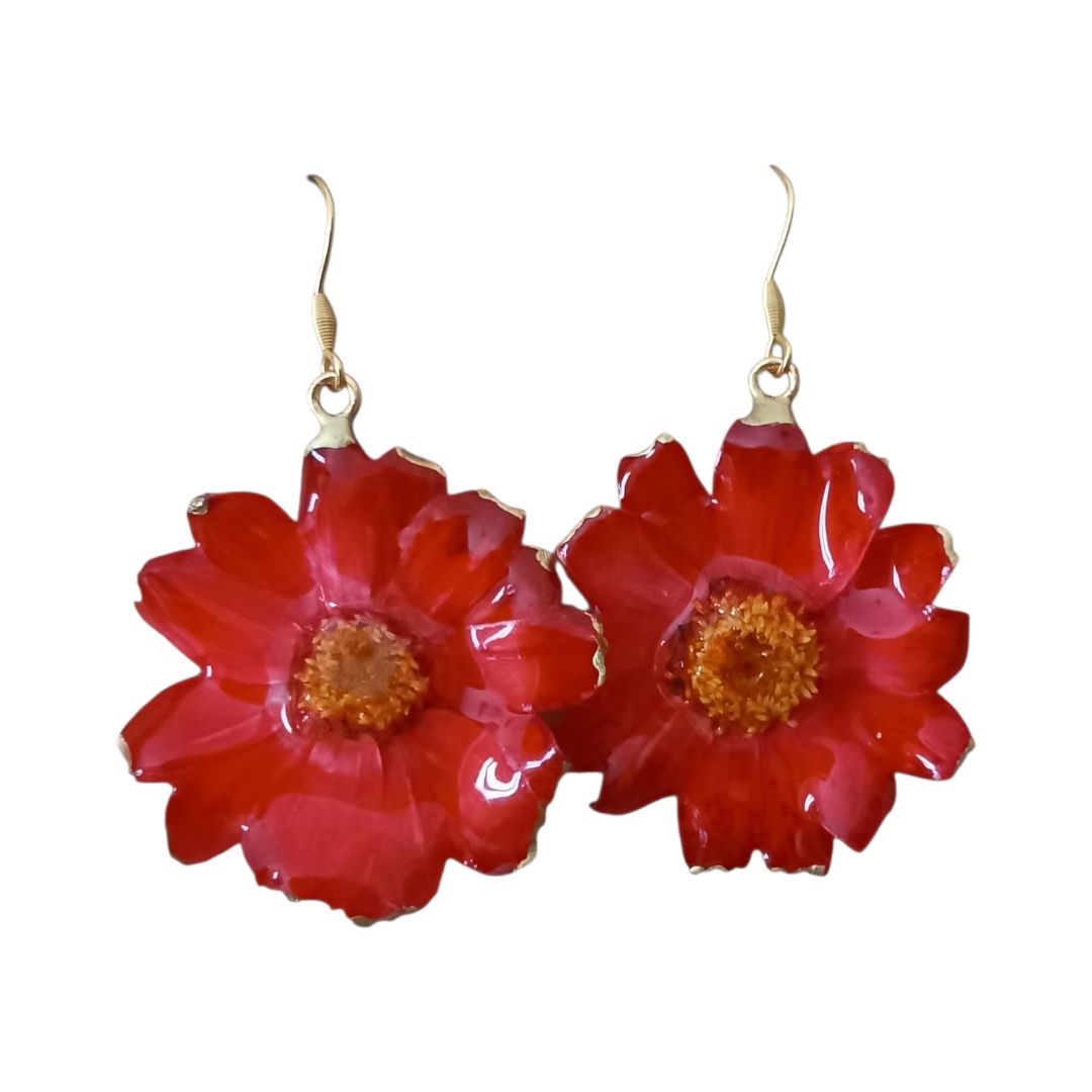 Zinnie rosse