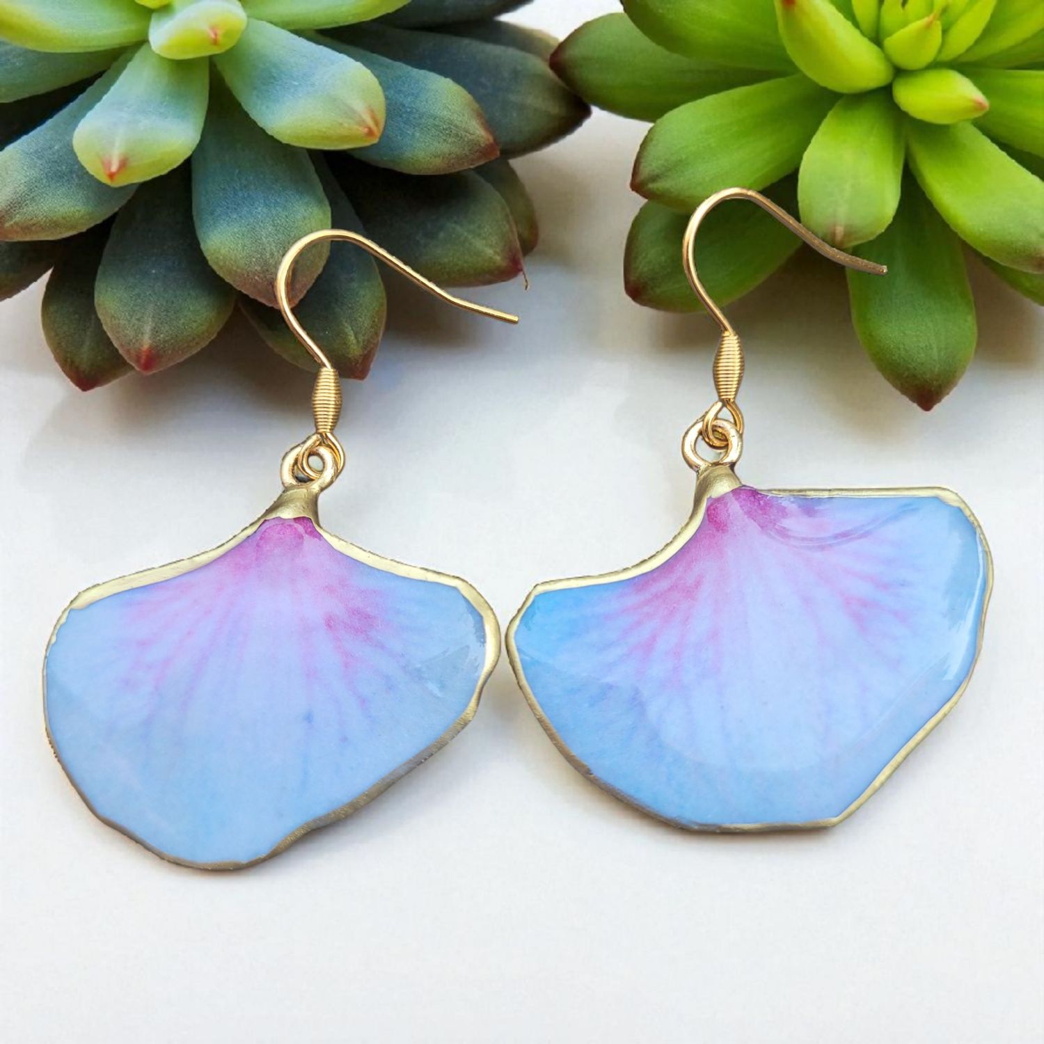 Petali orchidea rosa e azzurro