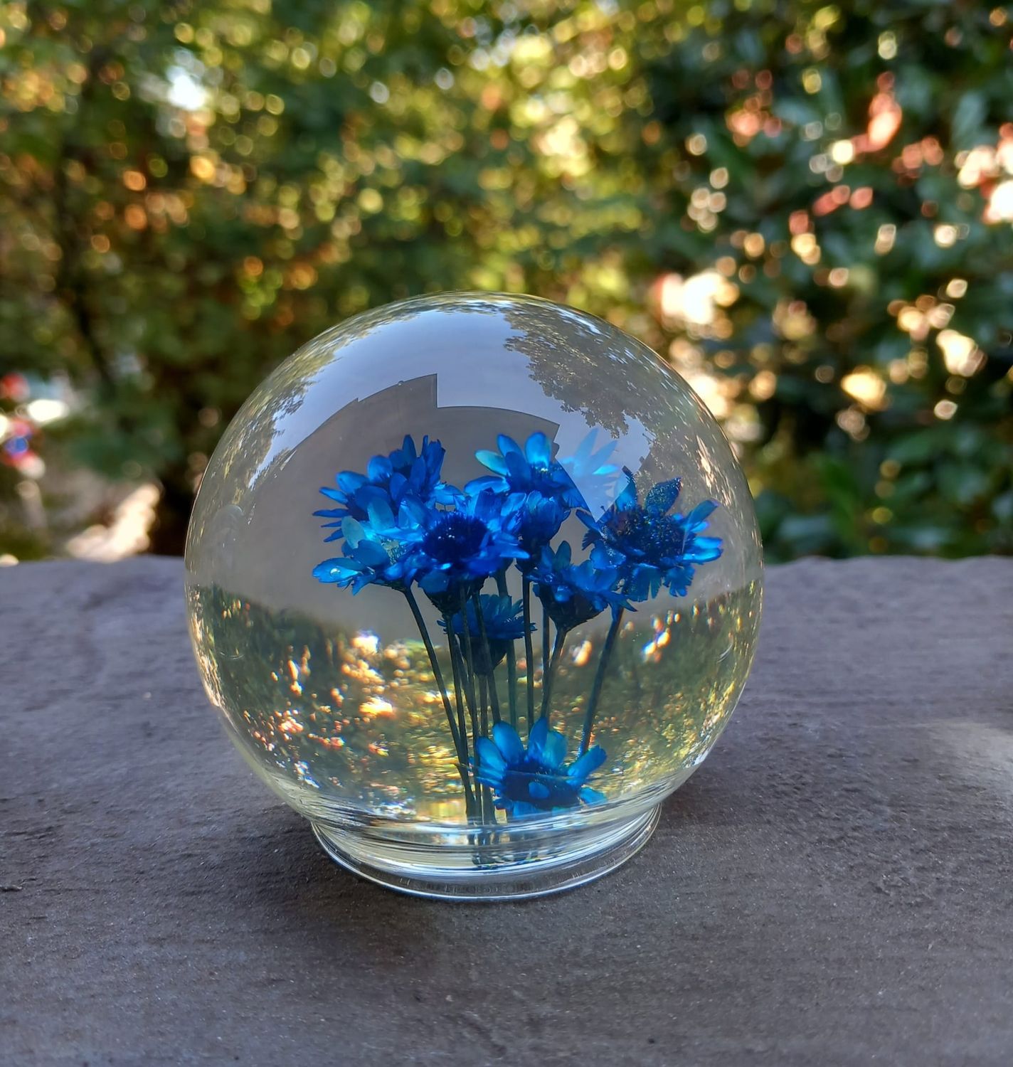 Bolla blu