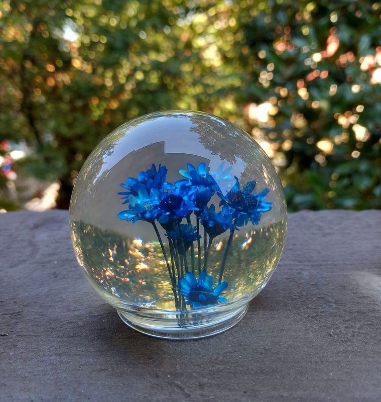 Bolla blu