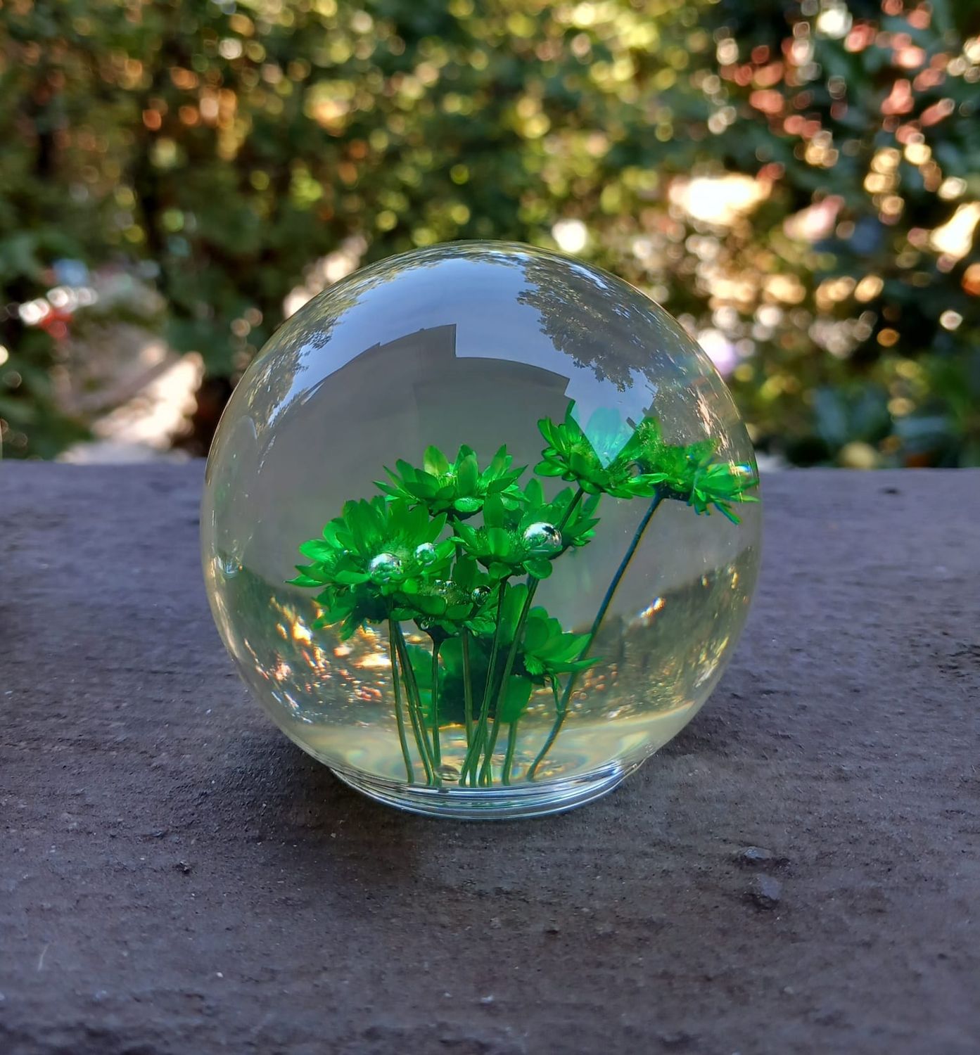 Bolla verde