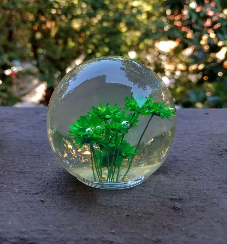 Bolla verde