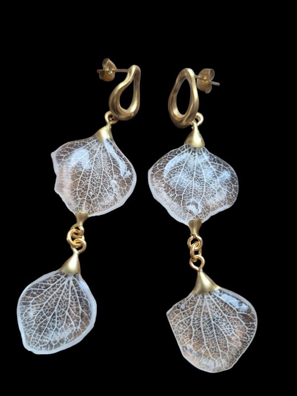 Ortensie doppie trasparenti