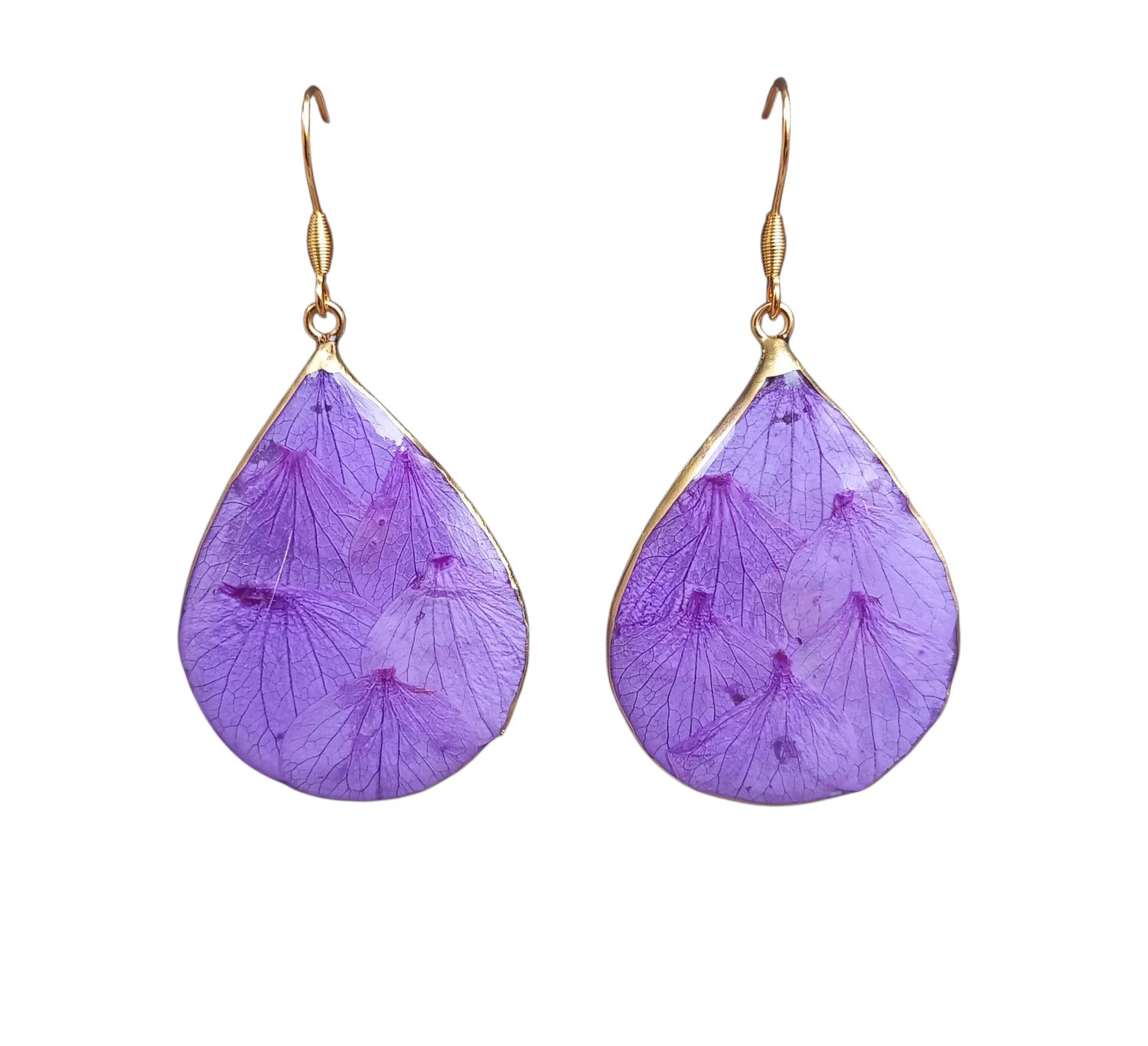 Ortensie pressate lilla