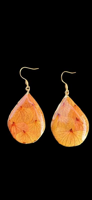 Ortensie pressate ocra