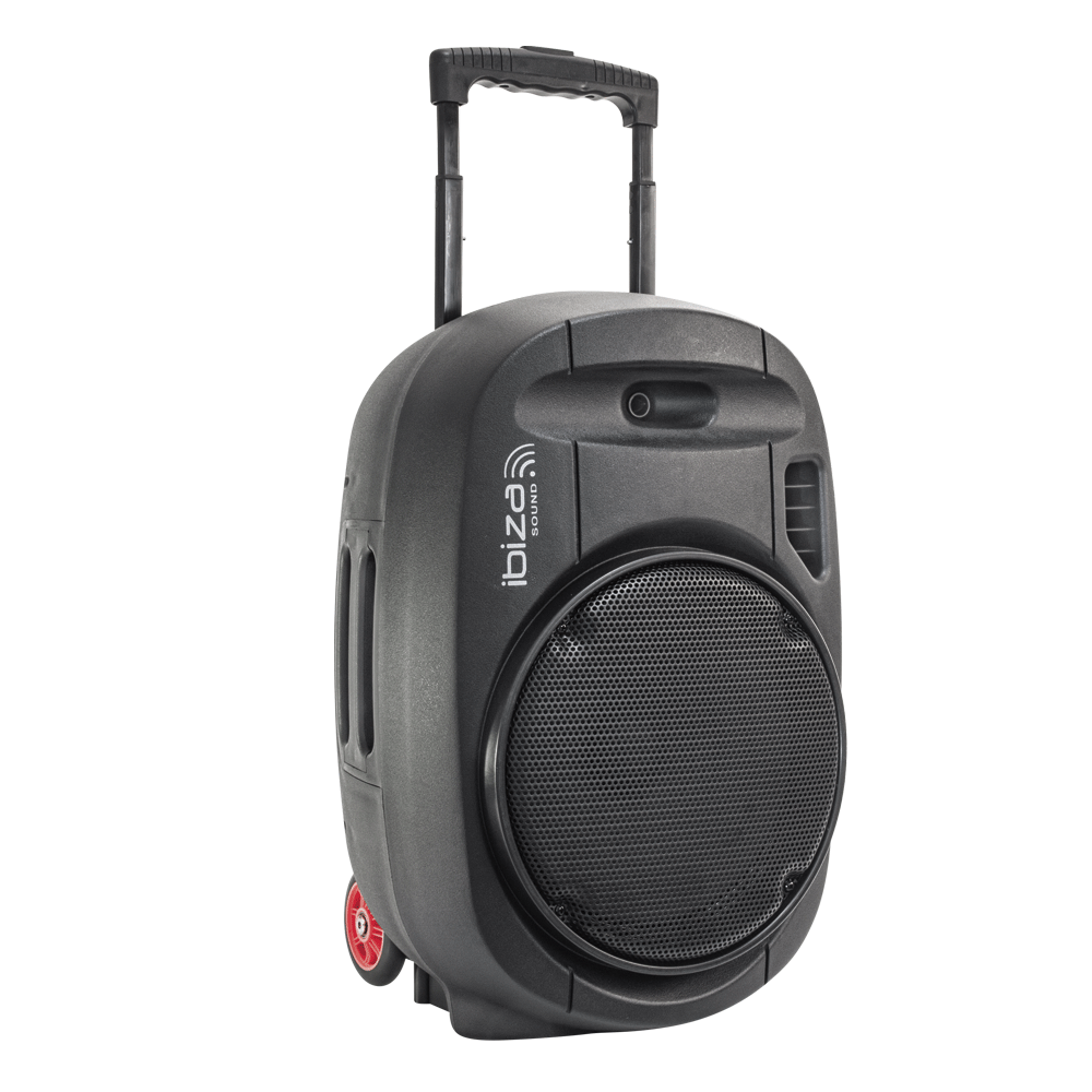 PACK PORT 15UHF-MKII + SOPORTE + FUNDA + CABLE MINI JACK RCA