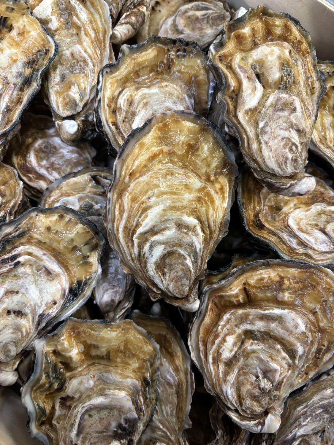 Huîtres spéciales pleine mer N°2