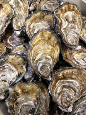 Huîtres spéciales pleine mer N°3