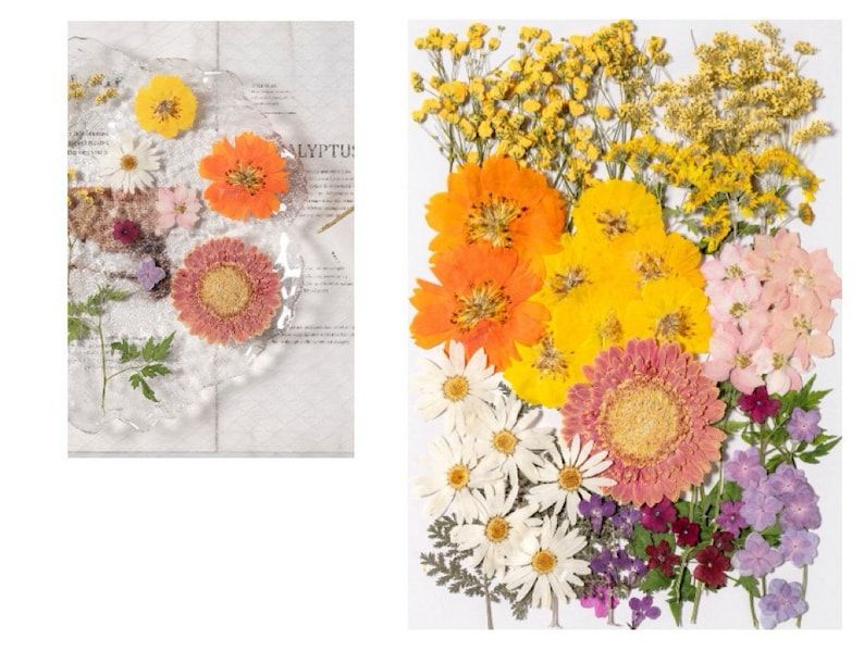 Dry Flower Set Prässätyt kuivakukat hartsitöihin – 4 eri vaihtoehtoa