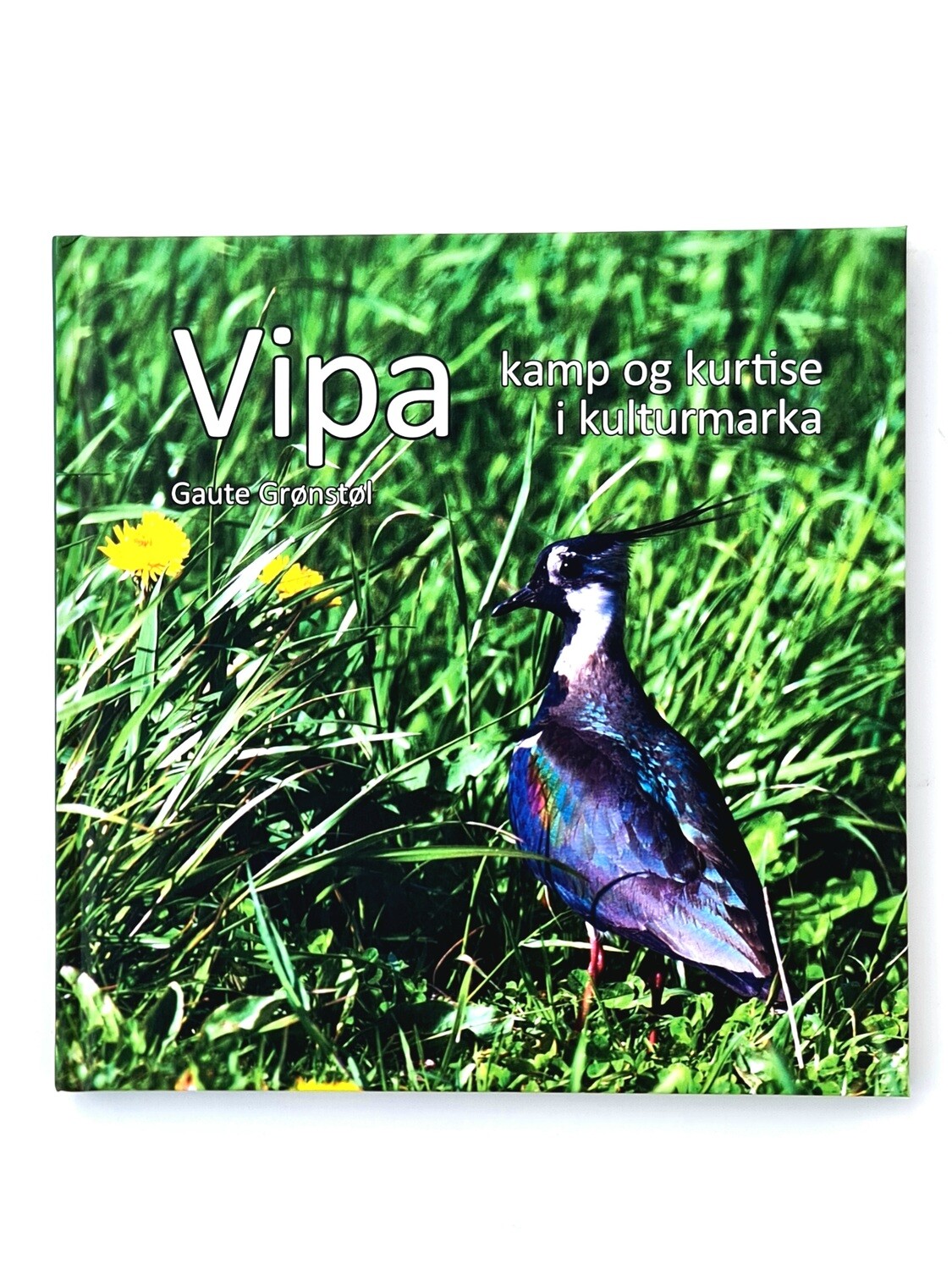 BOK | VIPA - Av Gaute Grønstøl
