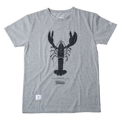 Hummer | Gråmelert