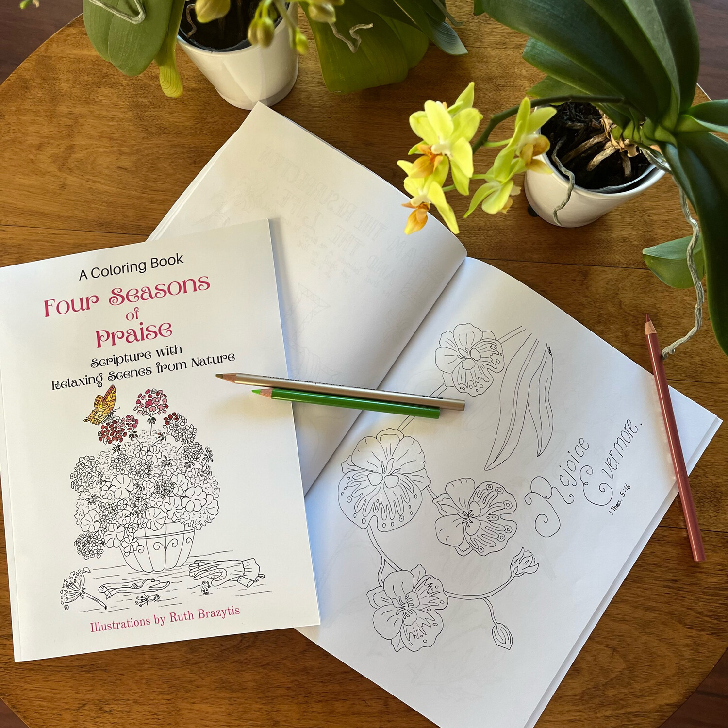 Four Seasons of Praise: A Coloring Book