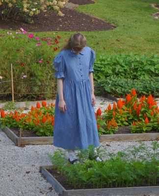 The Simply Sweet Dress For Women, Long &amp; 3/4 Sleeve