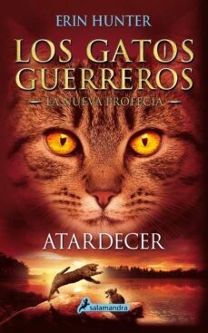 LOS GATOS GUERREROS ATARDECER
