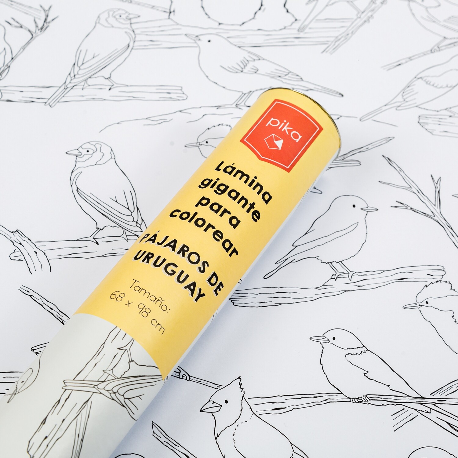 LAMINA GIGANTE PARA COLOREAR PAJAROS DE URUGUAY