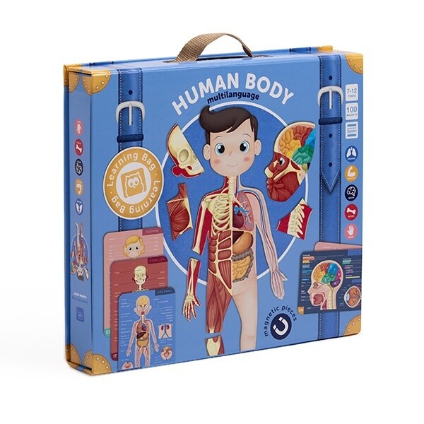 JUEGO MAGNETICO EL CUERPO HUMANO