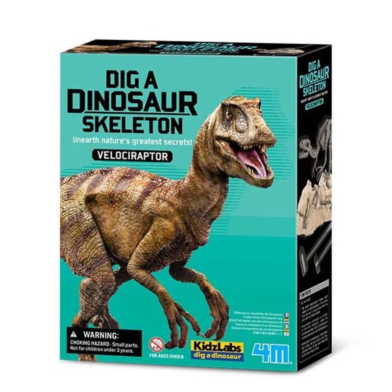 CONSTRUYE EL ESQUELETO DEL DINOSAURIO - VELOCIRAPTOR