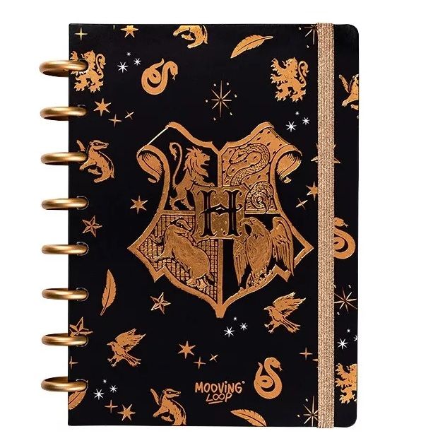 CUADERNO HARRY POTTER LOOPS A5 CON DISCOS