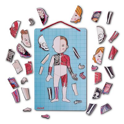 EL CUERPO HUMANO TABLERO MAGNETICO EN 12 IDIOMAS