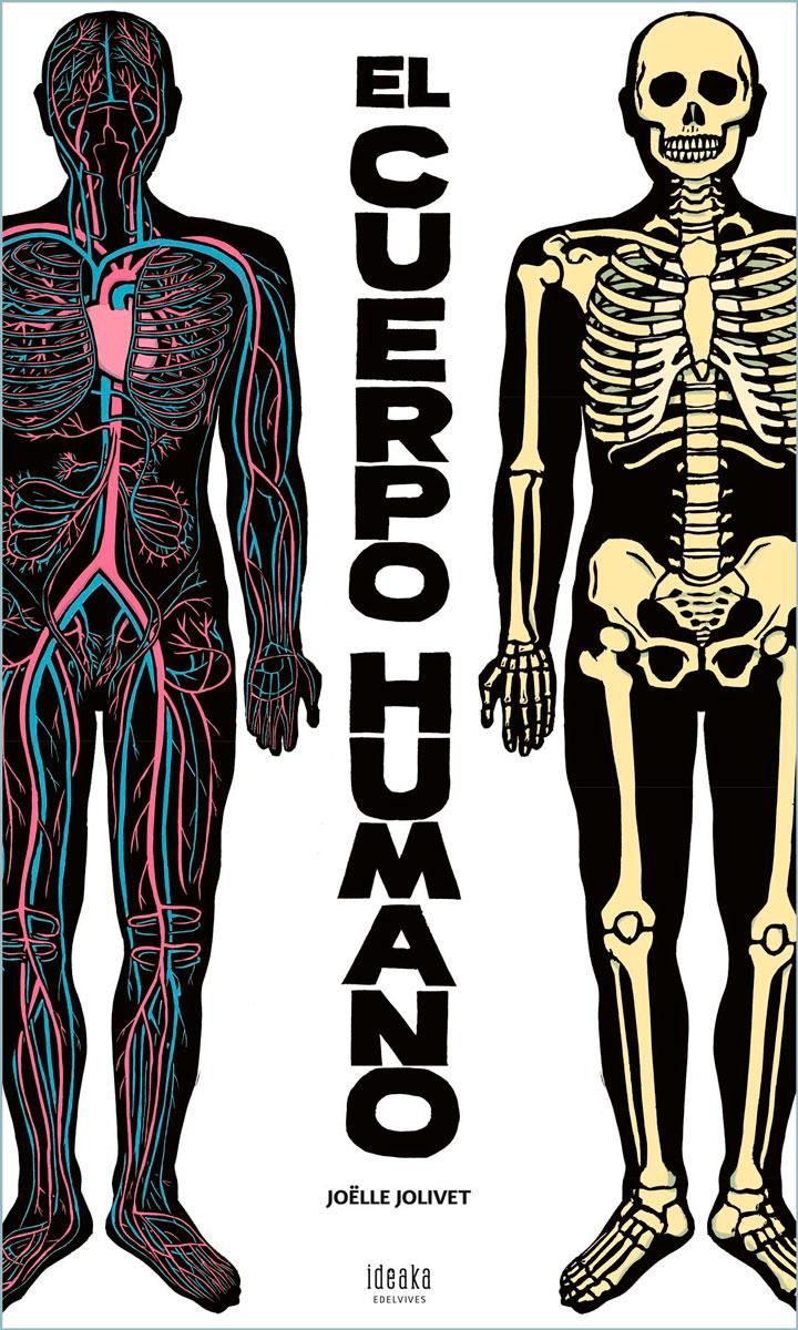 EL CUERPO HUMANO