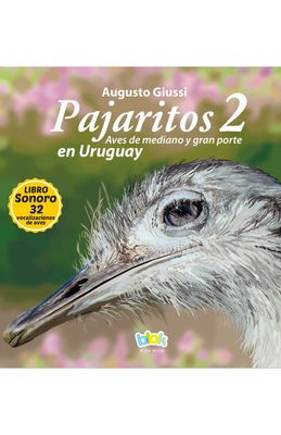 PAJARITOS 2