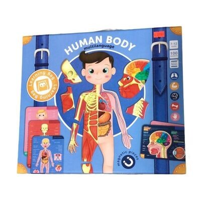 JUEGO MAGNETICO EL CUERPO HUMANO