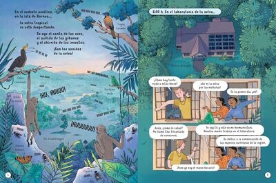 24 HORAS EN LA SELVA