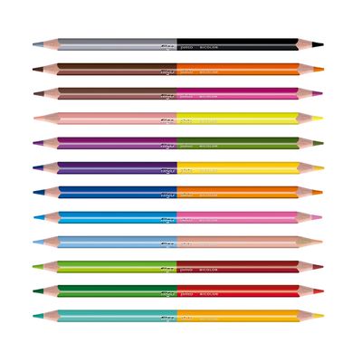 LAPICES DE COLOR DOBLE PUNTA 12 UNIDADES 24 COLORES