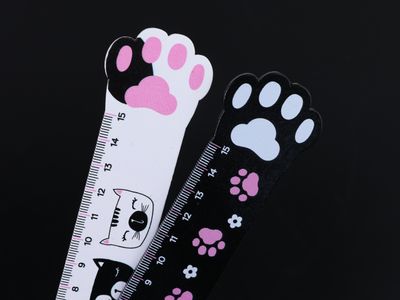REGLA 15 CM PAW-SITIVE