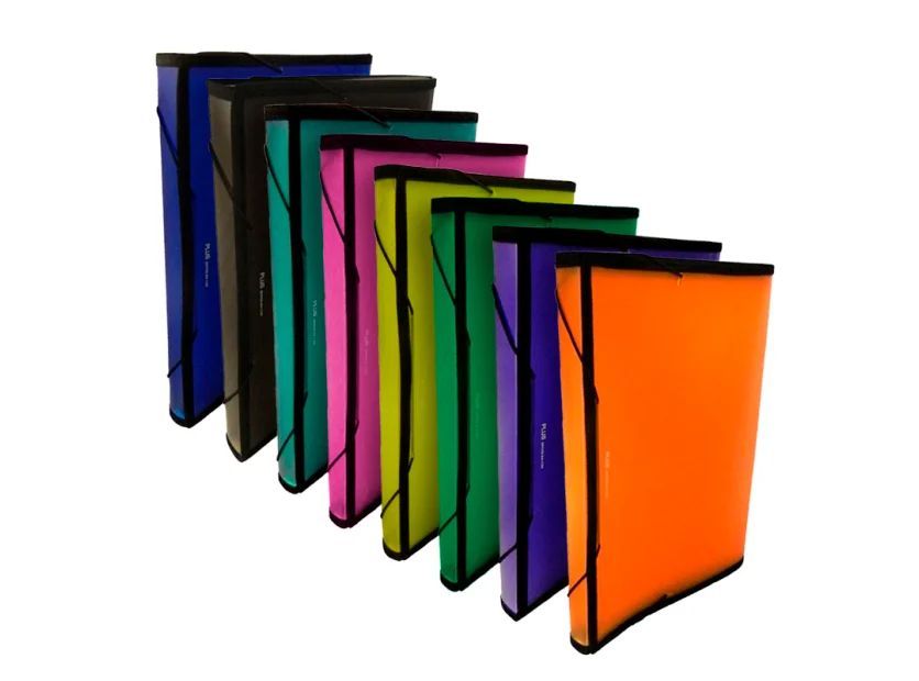 CARPETA EXPANDIBLE CON 12 DIVISIONES MAINPAPER