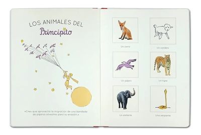 EL MUNDO DEL PRINCIPITO